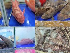 -七鲜渔港美食餐厅(巽寮湾海景店)
