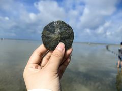 -红树林天天赶海