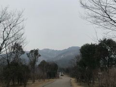 -涂山风景区