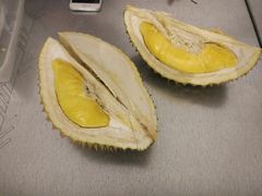 -都念榴莲·城市榴莲