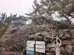 -梅园