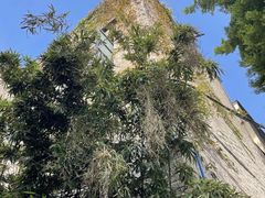 -广州西关永庆坊旅游区