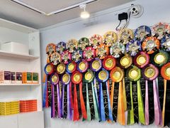 -青奢宠物·青奢猫舍