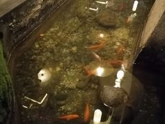 -淀里船宴(卓达店)