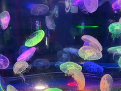 -太平洋海底世界