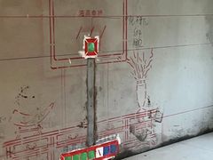 -大树装饰·十年本土家装