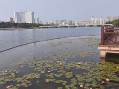 -南宁南湖公园