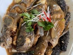 -鸿运美食府