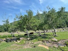 -克什克腾世界地质公园青山景区