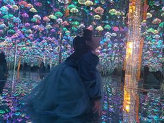 -深圳独角兽星空艺术馆