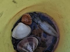 -浪琴湾度假村
