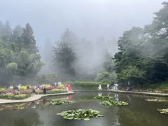 -庐山风景区花径公园