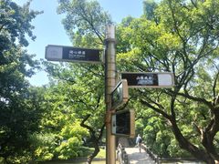 -江心屿景区