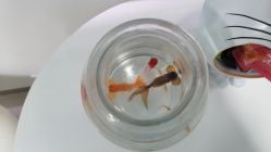 -芙贝佳禾·痘肌管理中心