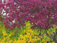 -大兴滨河森林公园