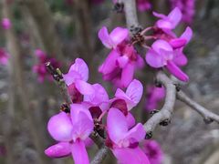 -桤木河湿地公园