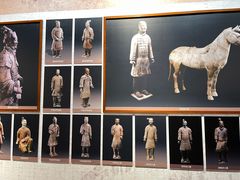 -秦始皇帝陵博物院(兵马俑)