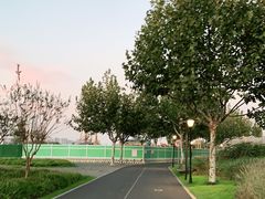 -上海山野camping·户外天幕烧烤·团建拓展营地