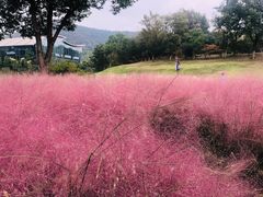 -龙吟九品(青龙山庄店)