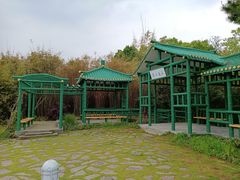 -渤公岛生态公园