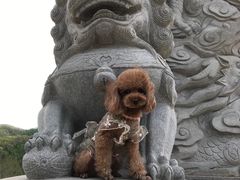 -九鼎铁刹山风景区