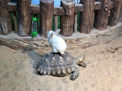 -华夏文旅海洋公园