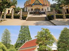 -报恩禅寺
