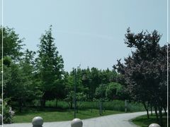 -同里国家湿地公园