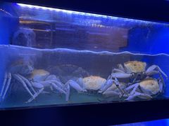 -海上明月海鲜火锅 鲜切牛肉