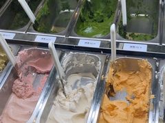 -鹤茶野所(上海首店)