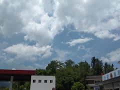 -中国石化阿蓬江东加油站