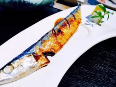 -鲤·鮨KOISUSHI
