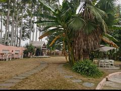 -大财·DA CAI花园餐厅.草坪婚礼.团建会议.围炉煮茶.求婚派对(三圣乡店)