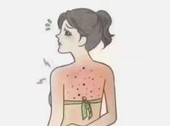 -丽减美瘦吧·减肥瘦身