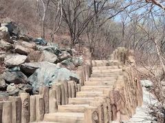 -北京西山国家森林公园