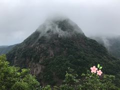 景点-鸡枕山