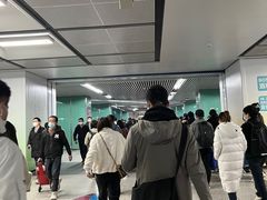 -宋家庄(地铁站)