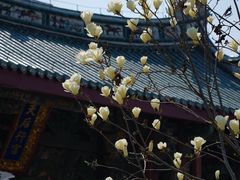 -烟台市博物馆