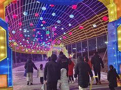 -沈阳奥体冰雪嘉年华