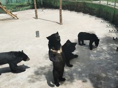 -西安秦岭野生动物园
