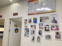 -瑞派康怡24h宠物医院·犬猫医疗中心·微创绝育(瑞景分院)