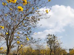 -田园寨农园观光园