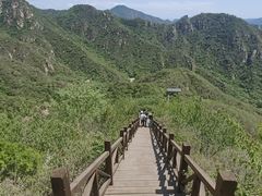 -大岭沟猕猴桃谷风景区