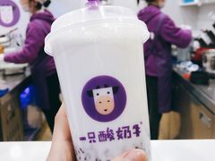 原味酸奶紫米露-一只酸奶牛(八一路店)