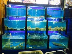 水产区-老东镇啤酒屋海鲜加工·蒸汽海鲜·海鲜烧烤(台东店)