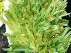 -葛记红焖羊肉(和平路形象店)