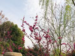 -杭州城北体育公园