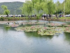 -南北湖风景区