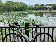 -TREK崔克自行车(徐汇滨江店)