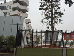 -狮山实验学校